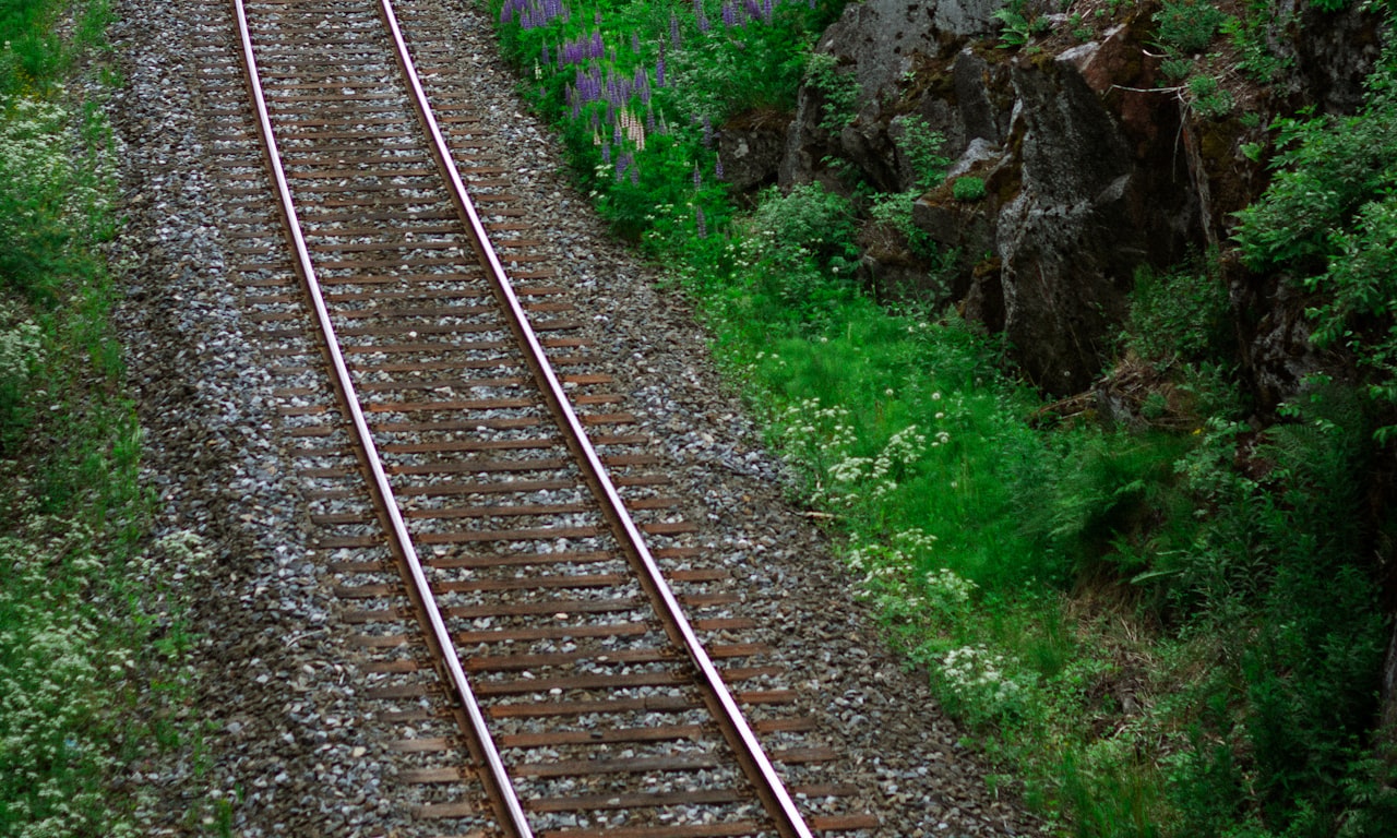 Types de croisements ferroviaires : Diamant, Simple et Double - Aperçu