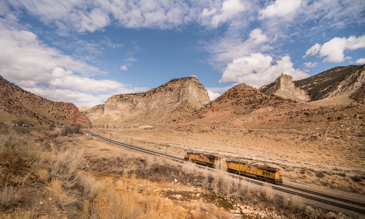 Classifications des aiguillages ferroviaires : types, importance et maintenance