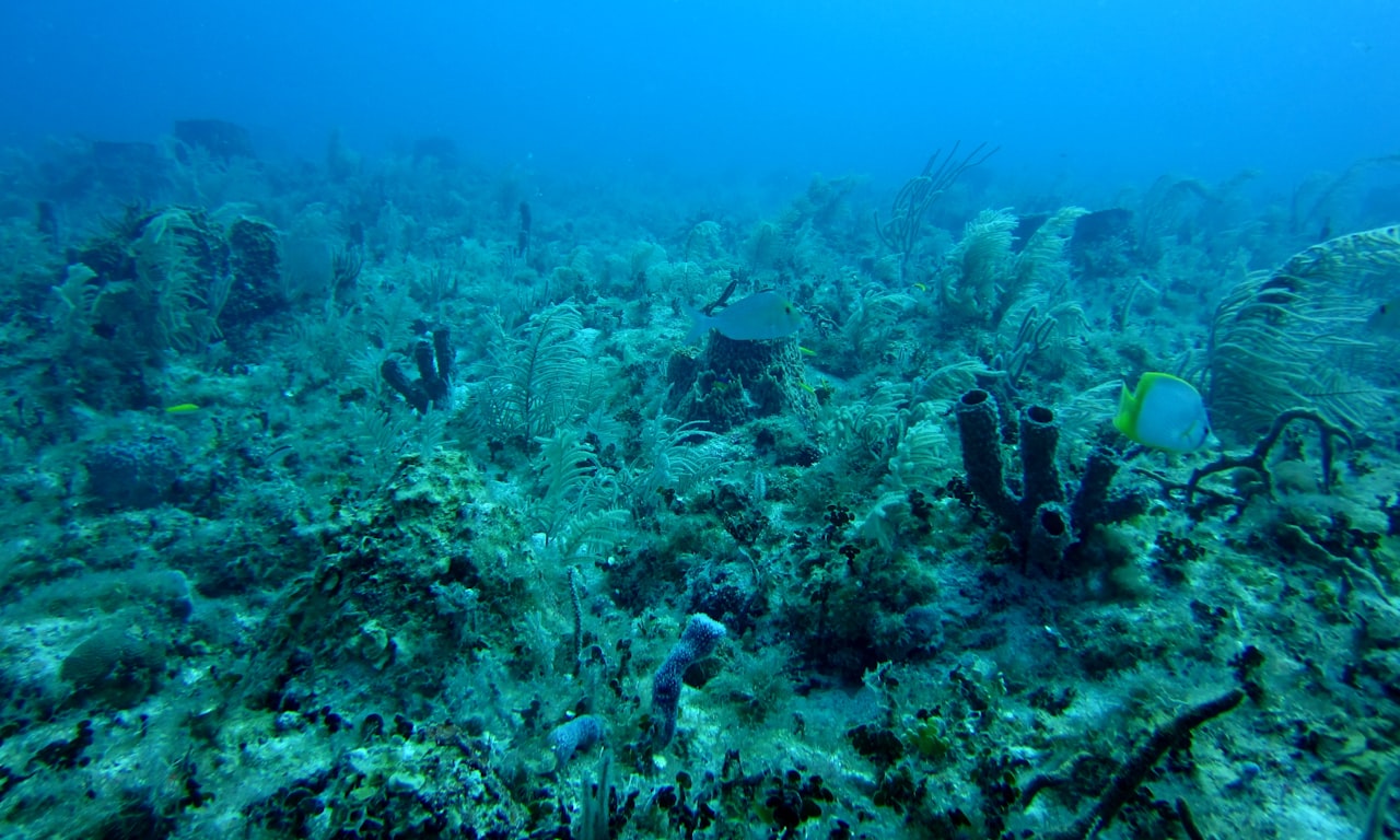 Prévenir la fissuration des boulons de poisson : causes et solutions