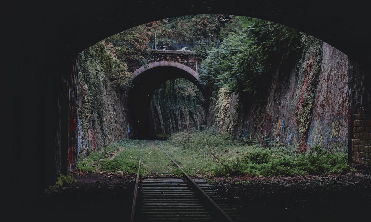 Est-ce que le chemin de fer Brio fonctionne sur les rails de train? Découvrez-le ici