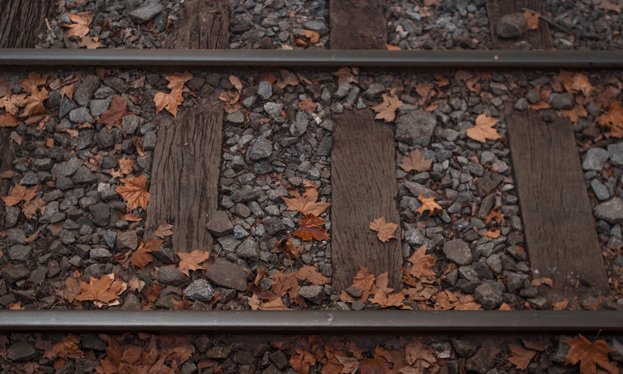 did trains allow sewage to bge flushed onto the tracks0