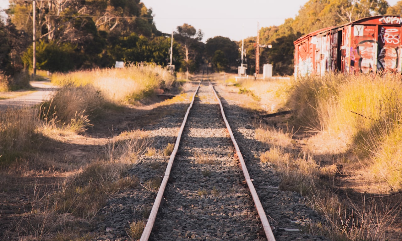 railroad spike hooks0